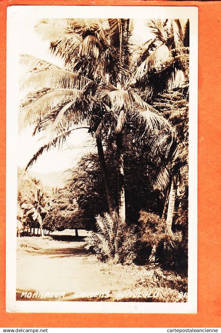 39513 ♥️ Rare ⭐ HONOLULU HI - Hawaii USA ◉ MOANALUA Gardens 1910s◉ Guenuine hand made Photograph BEAR Photo S. Francisco