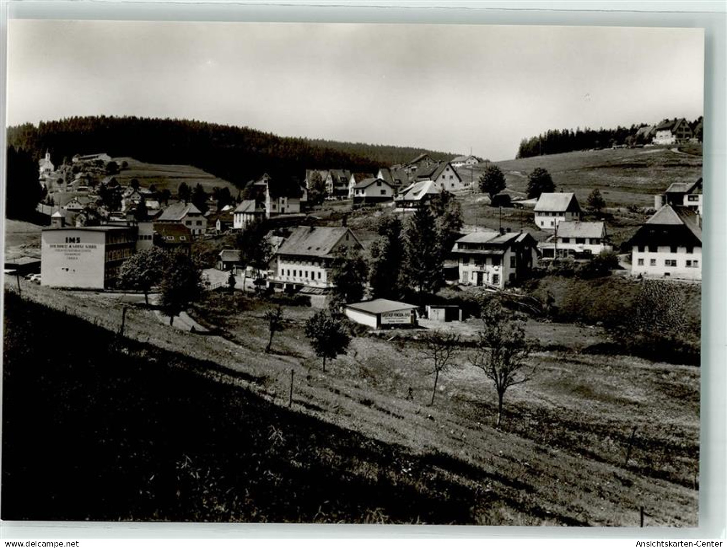 39606133 - Eisenbach Hochschwarzwald