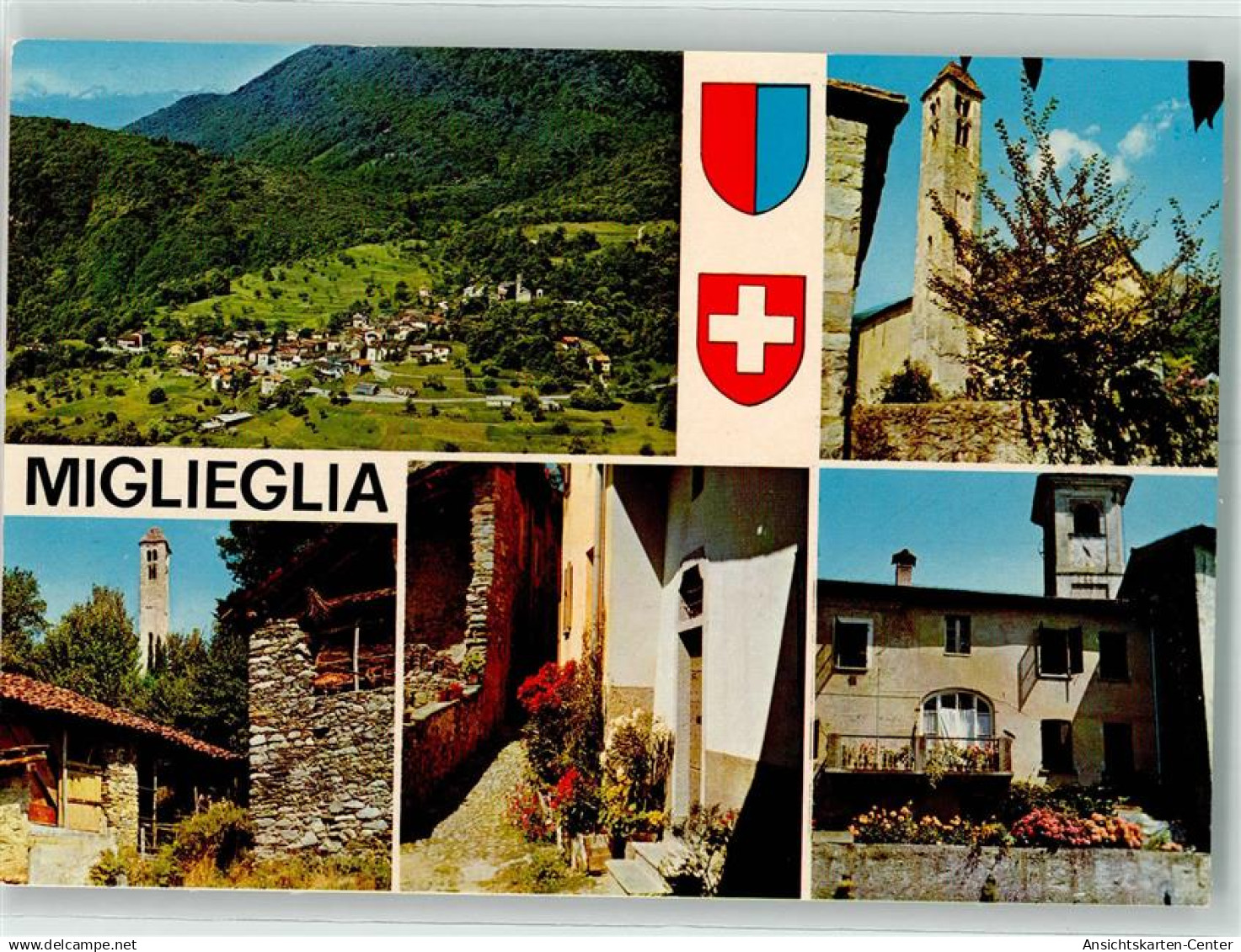 39698114 - Miglieglia