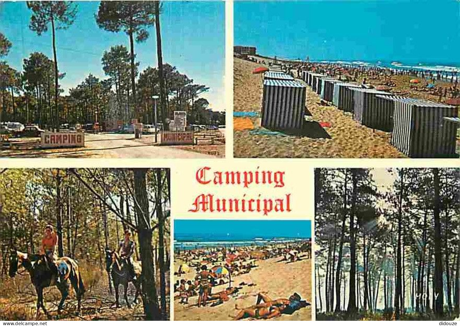 40 - Biscarrosse - Camping Municipal - Multivues - CPM - Voir Scans Recto-Verso