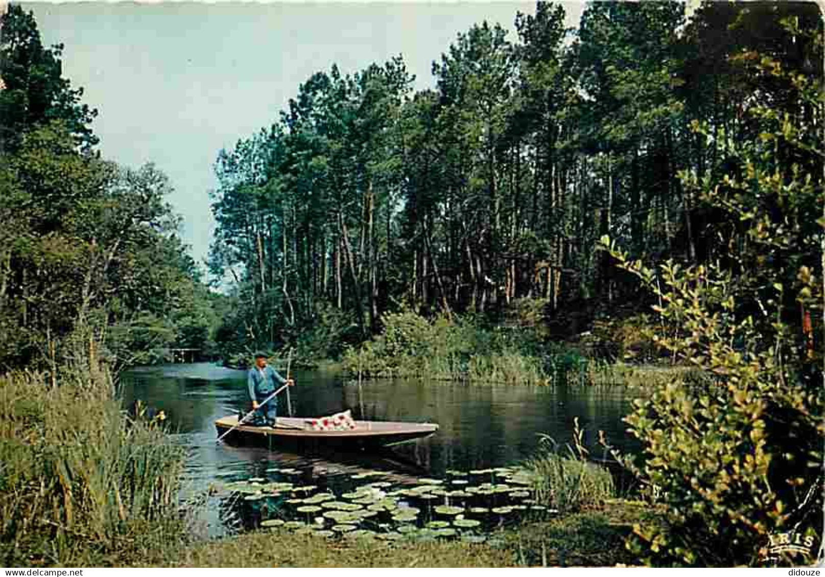 40 - Landes - Courant des Landes - Barques - CPM - Voir Scans Recto-Verso