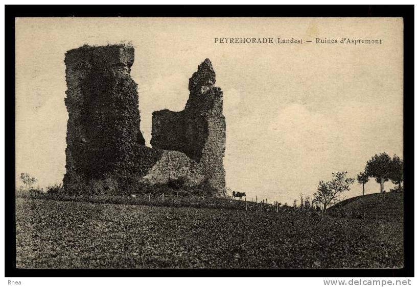 40 Peyrehorade chateau ruine D40D K40224K C40224C RH066018