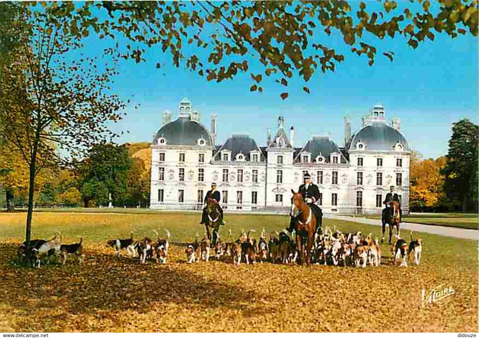 41 - Cheverny - Les piqueux et la meute de l'équipage de Cheverny devant le château - Chasse à Courre - Chevaux - Chiens