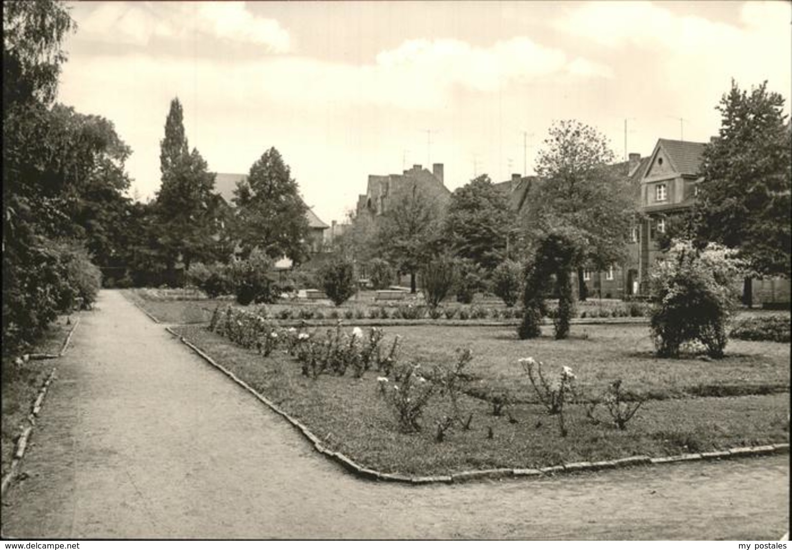 41239244 Aschersleben Rosarium Aschersleben