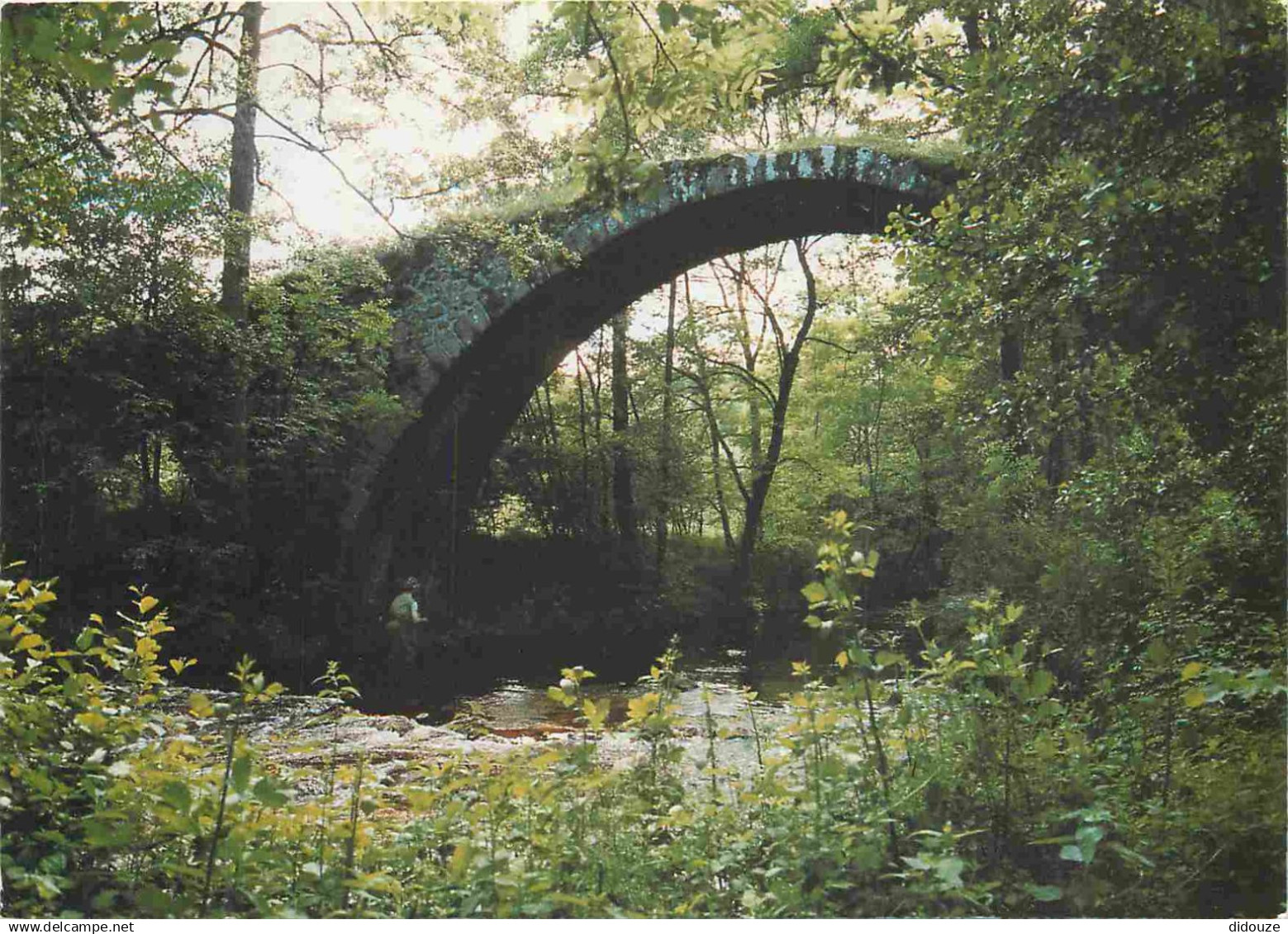 42 - Saint Marcellin - Pont du Diable - CPM - Voir Scans Recto-Verso