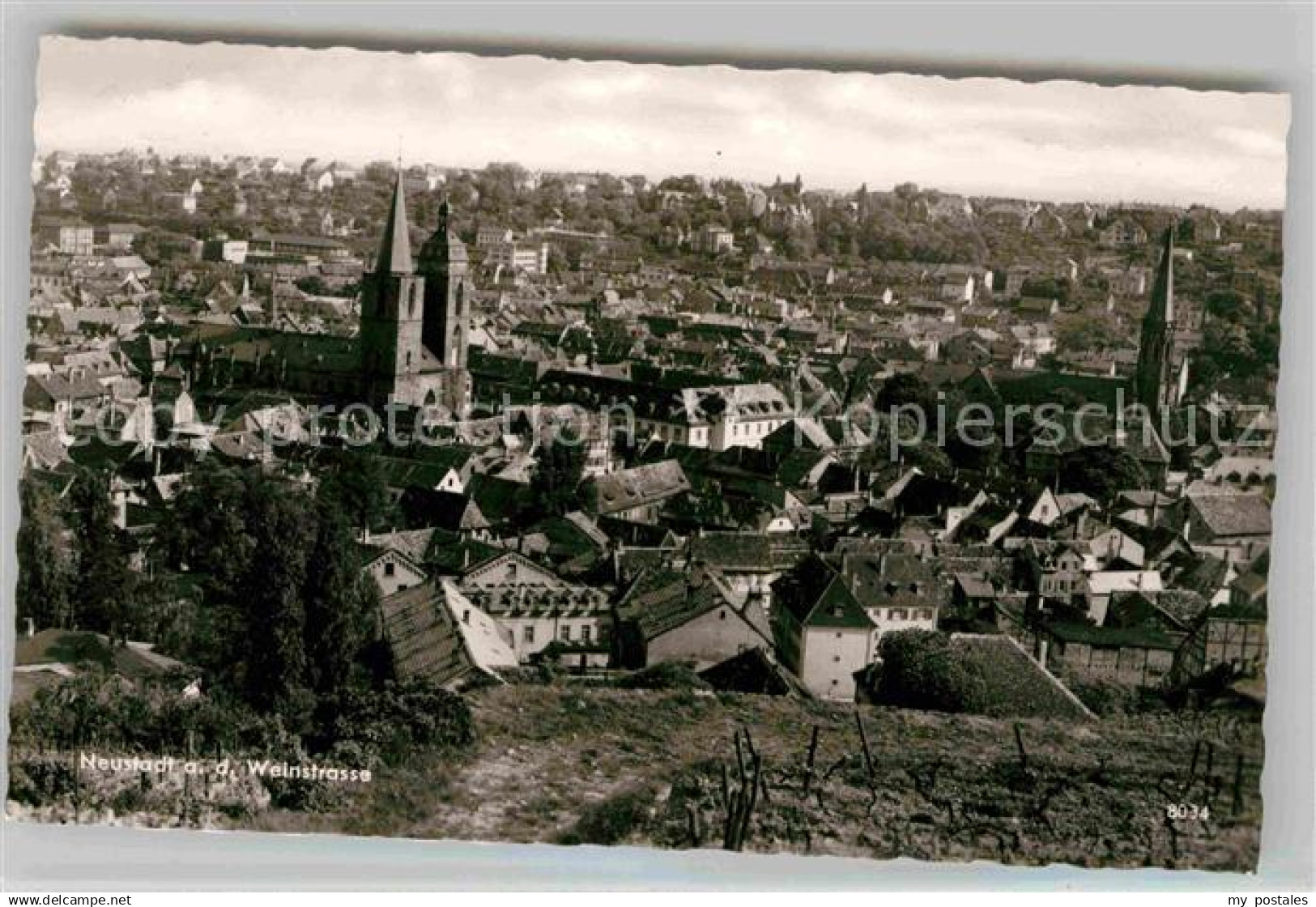 42653447 Neustadt Weinstrasse Panorama Neustadt an der Weinstr.