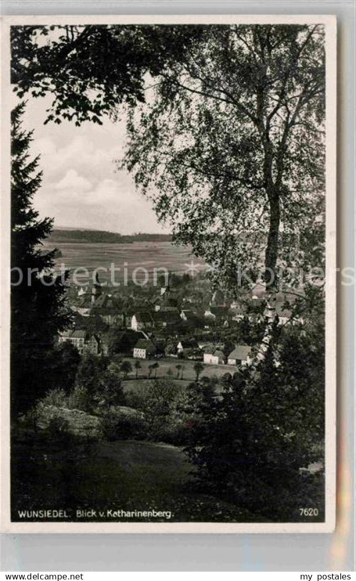 42691771 Wunsiedel Katharinenberg Panorama Wunsiedel