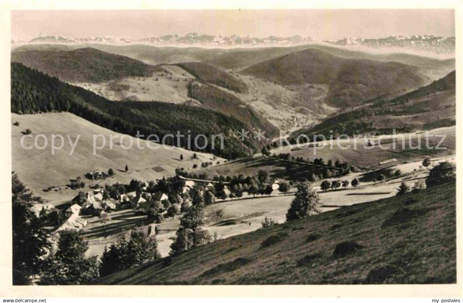 42696213 Todtnau Panorama  Todtnau