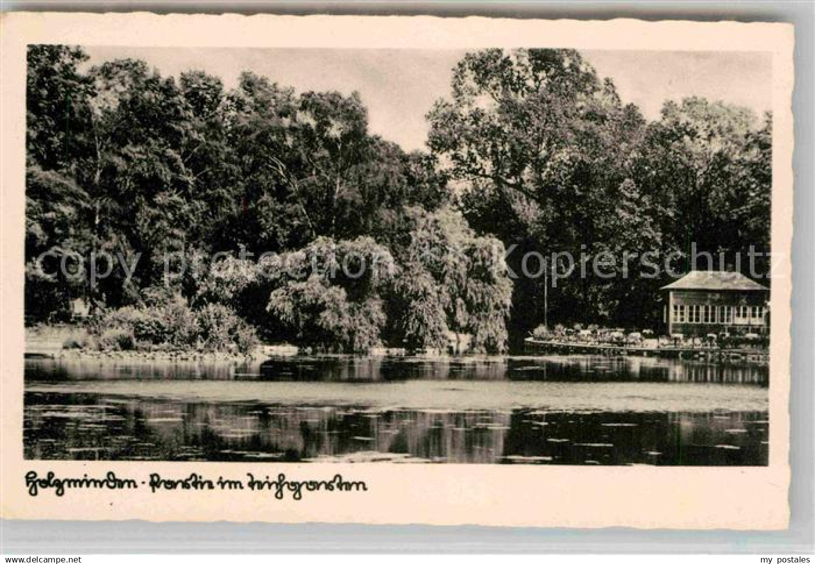 42704616 Holzminden Weser Teichgarten Holzminden