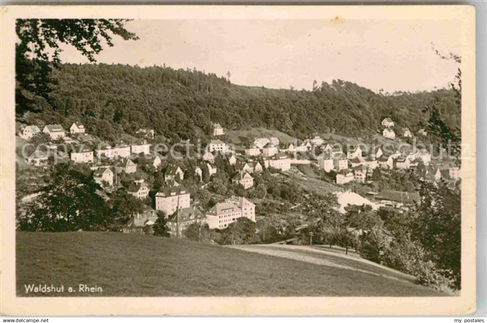 42809259 Waldshut-Tiengen Teilansicht  Waldshut-Tiengen