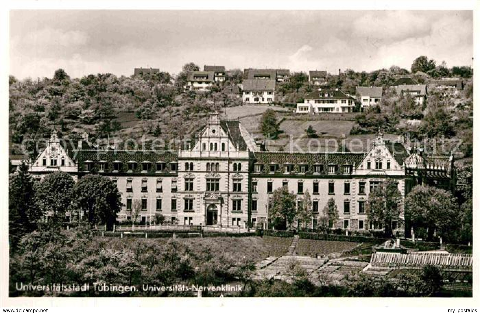 42844227 Tuebingen Universitaet  Tuebingen