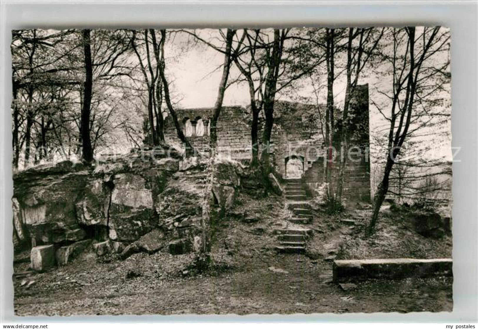 42933202 Eberbach Neckar Burg Eberbach Ruine