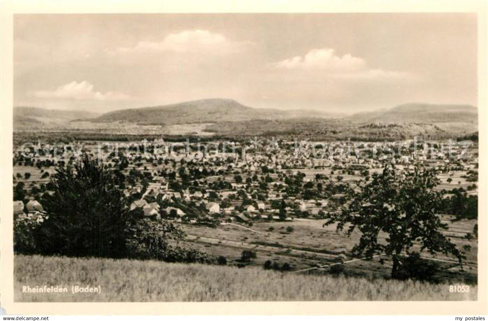 42943640 Rheinfelden Baden Panorama Rheinfelden (Baden)