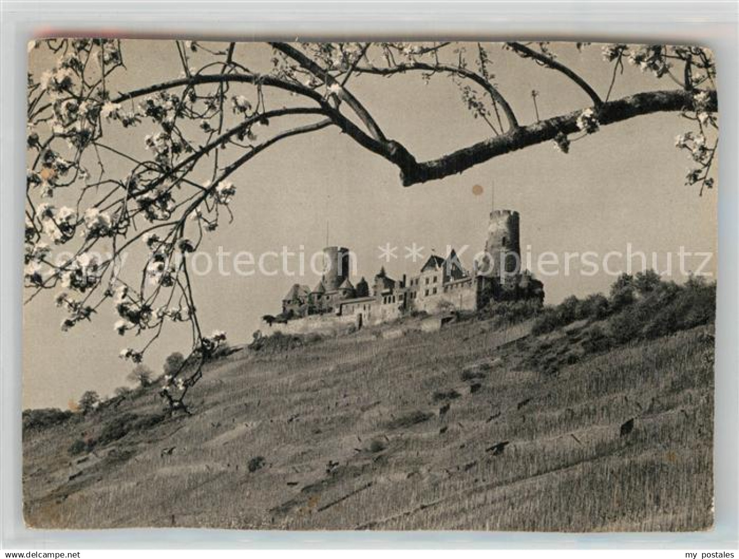 42976719 Alken Koblenz Burg Thurandt Alken