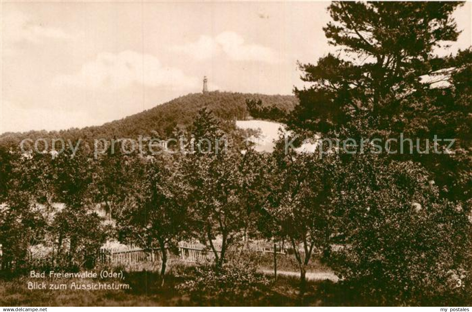 42989991 Bad Freienwalde Aussichtsturm Bad Freienwalde