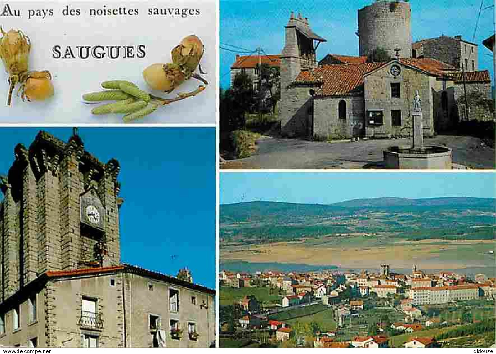 43 - Saugues - Multivues - Eglise - Noisettes sauvages - Flamme Postale - CPM - Voir Scans Recto-Verso