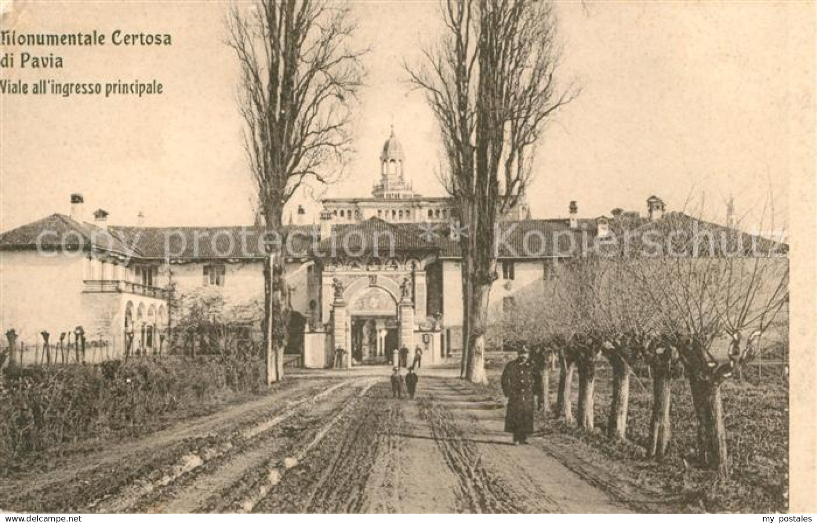 43006658 Pavia Monumentale Certosa Viale ingresso principale Pavia