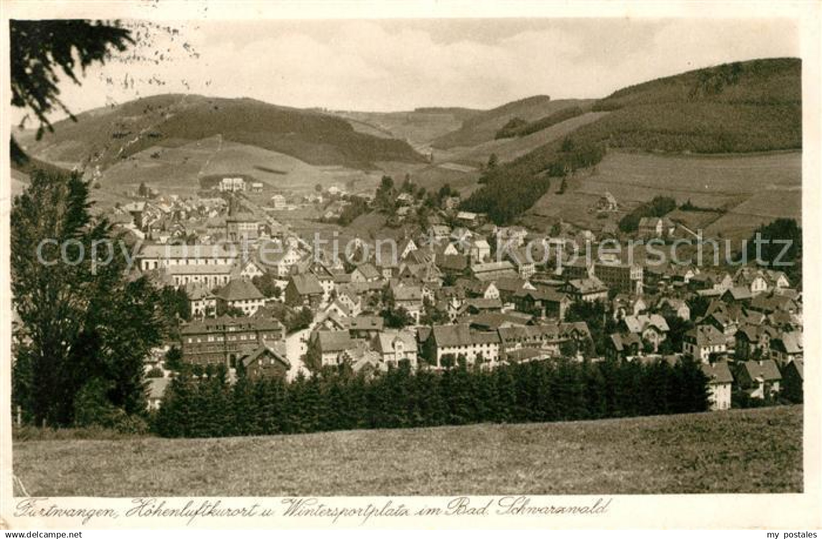 43041399 Furtwangen Panorama