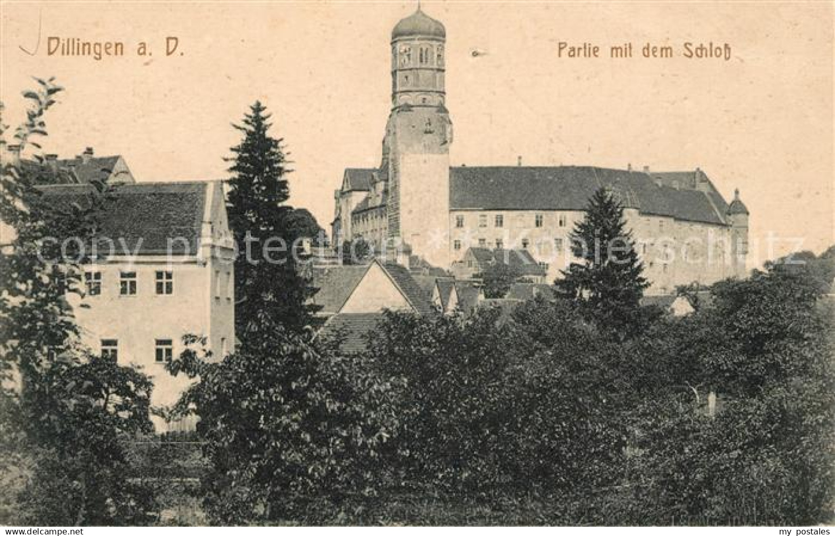 43097469 Dillingen Donau Partie mit Schloss Dillingen