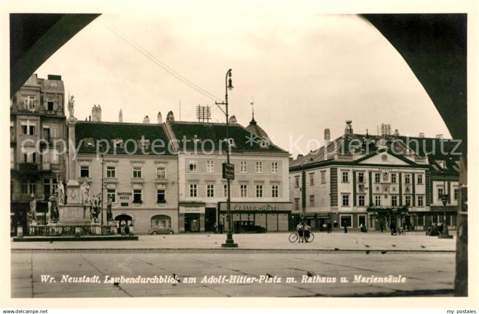 43136075 Wiener Neustadt Rathaus Mariens&#228;ule Wiener Neustadt