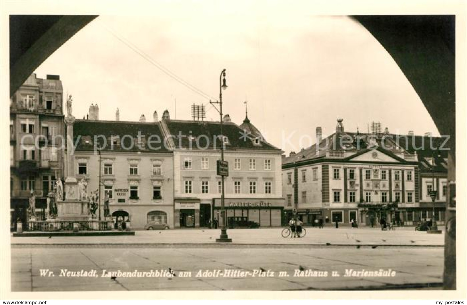 43136098 Wiener Neustadt Rathaus Mariens&#228;ule Wiener Neustadt