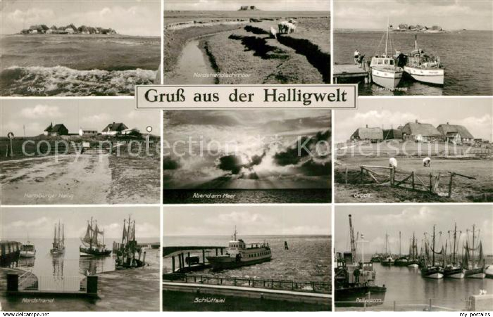 43153341 Halligen Nordsee Oland Nordstrandischmoor Langeness Hamburger Hallig Ab