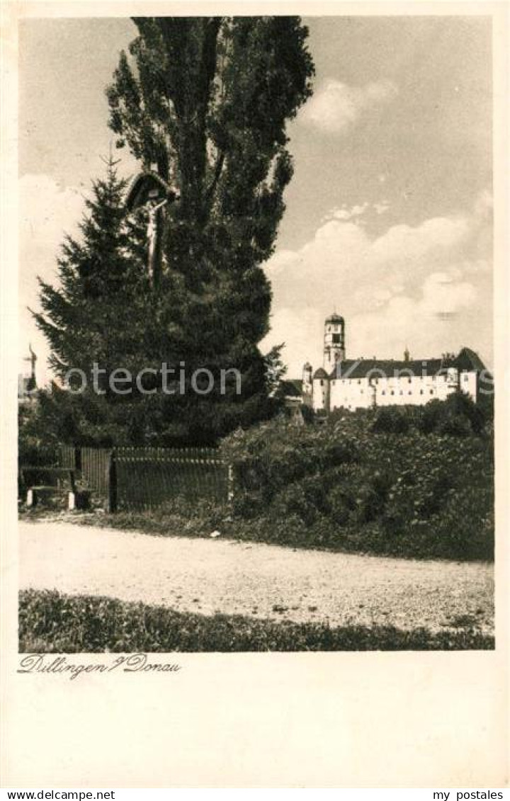 43185381 Dillingen Donau Blick zum Schloss Dillingen Donau