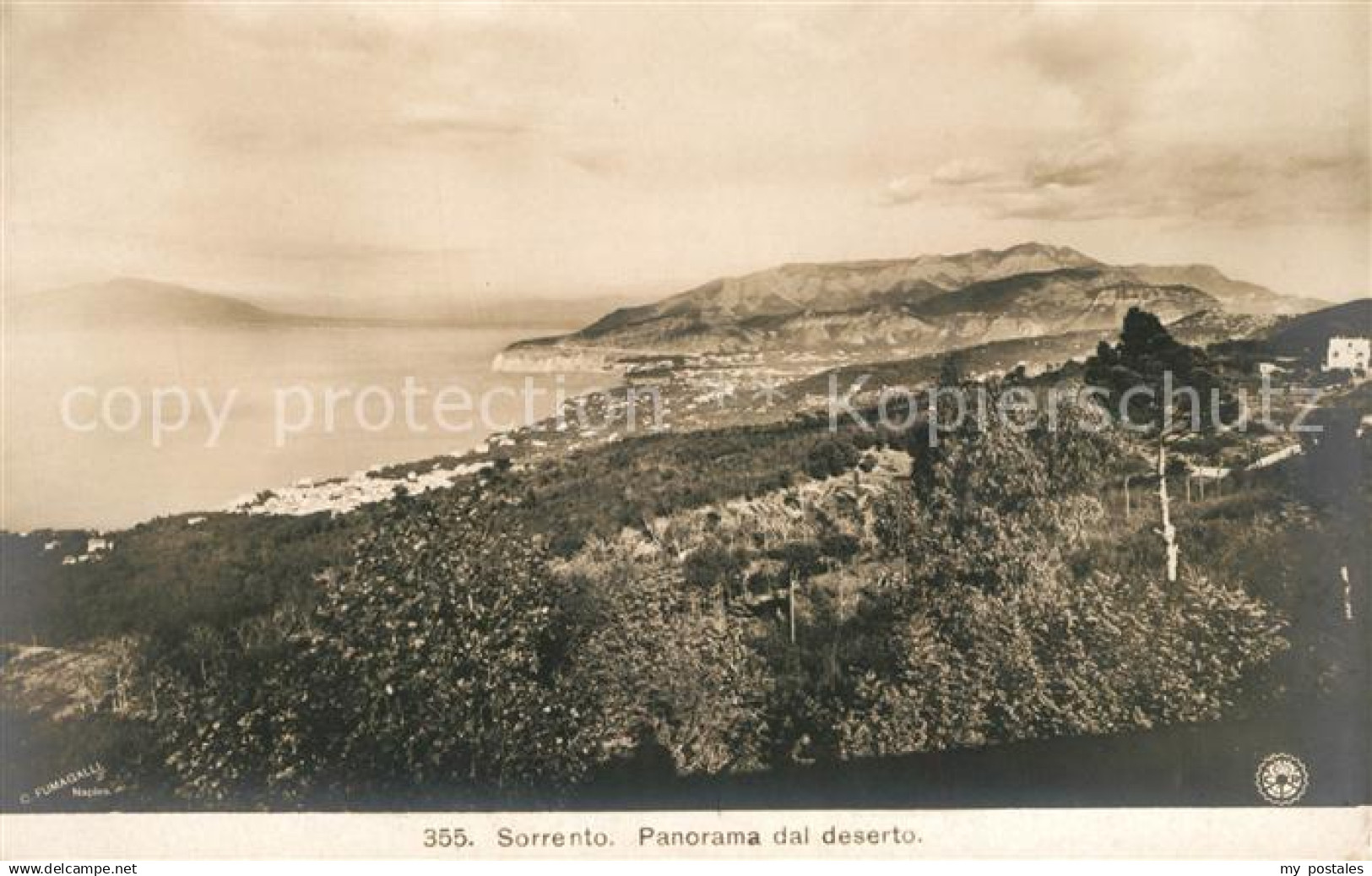 43199393 Sorrento Campania Panorama dal deserto Sorrento Campania