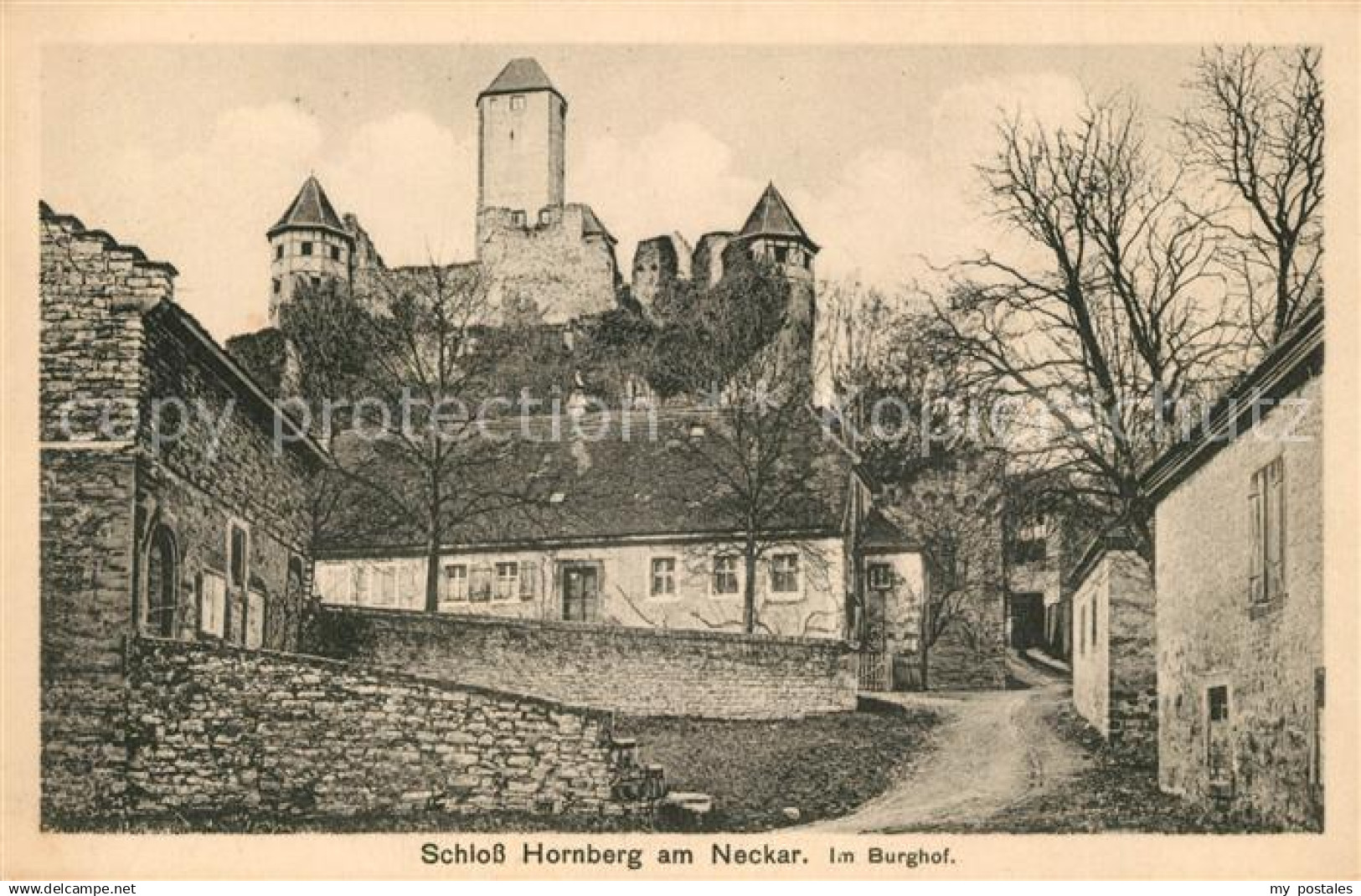 43215734 Hornberg Schwarzwald Schloss Hornberg Im Berghof