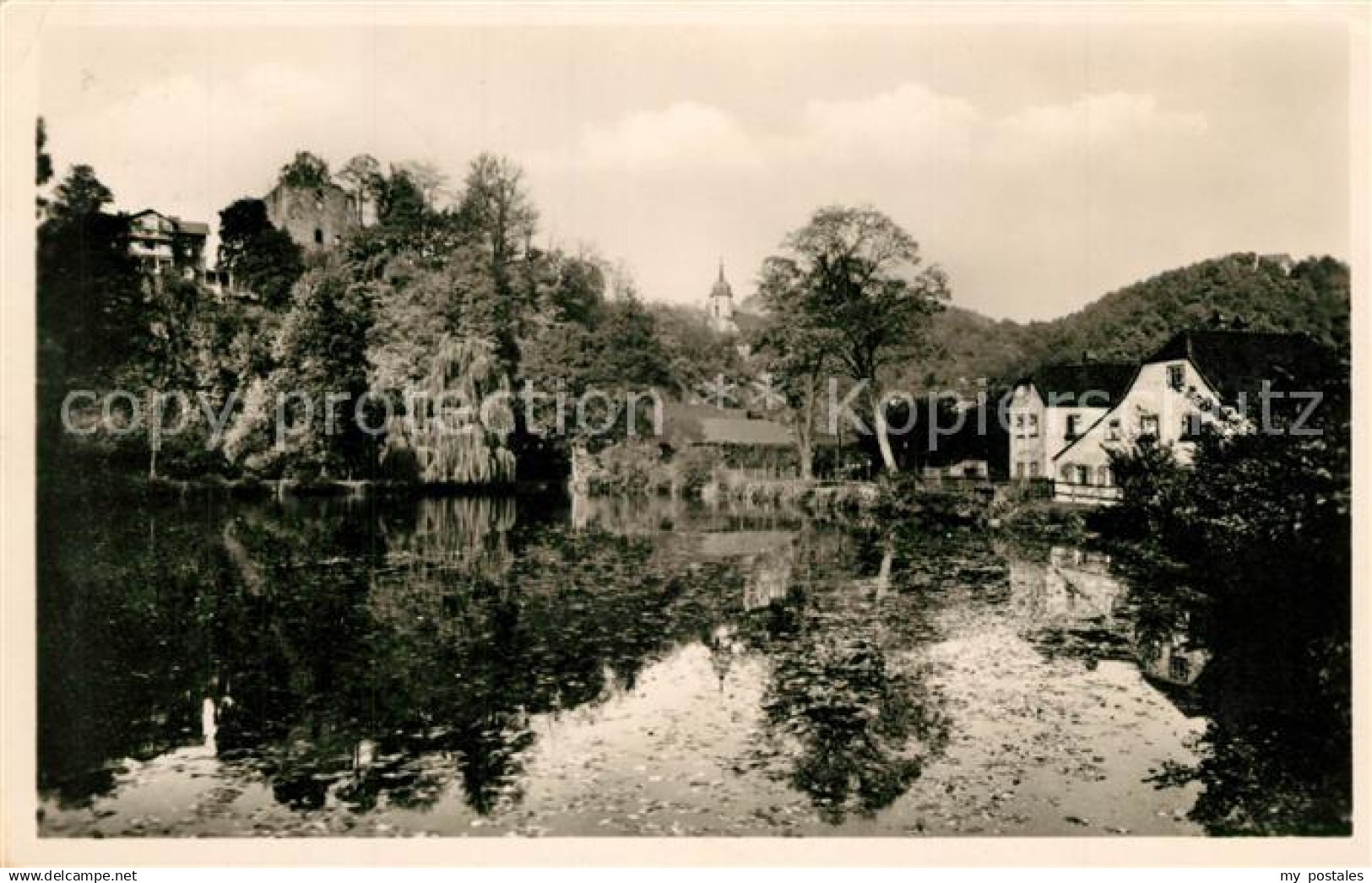 43250253 Tharandt Schlossteich Ruine Tharandt