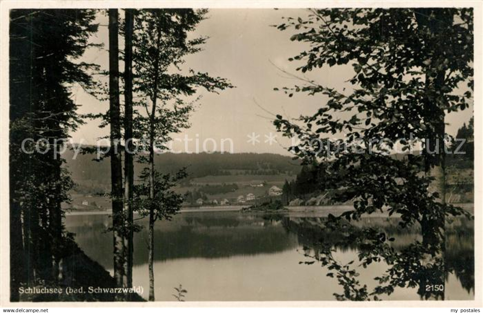 43262984 Schluchsee Panorama Schluchsee