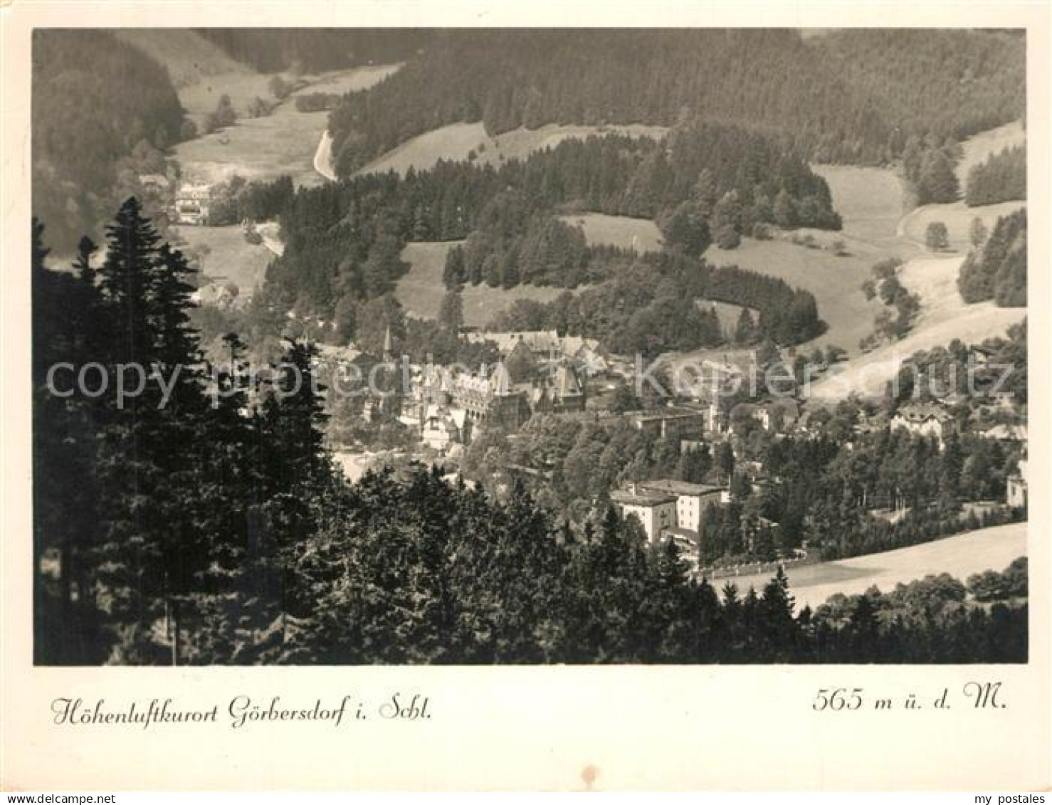 43302283 Goerbersdorf Schlesien Panorama Goerbersdorf Schlesien