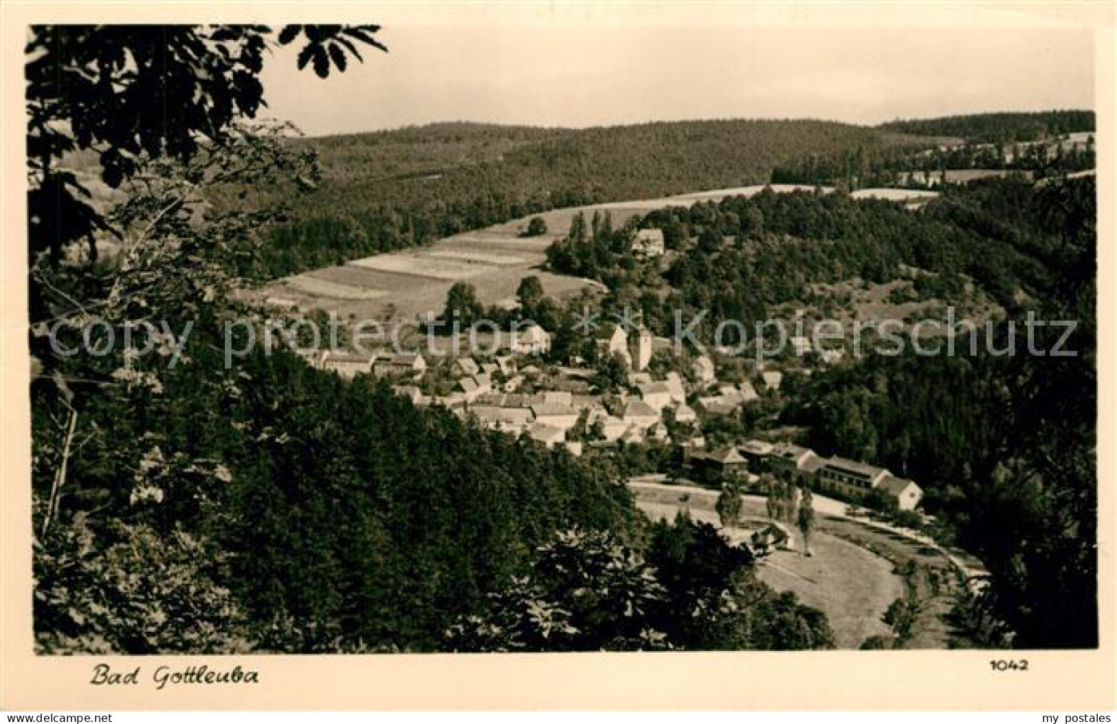 43331650 Bad Gottleuba-Berggiesshuebel Panorama Bad