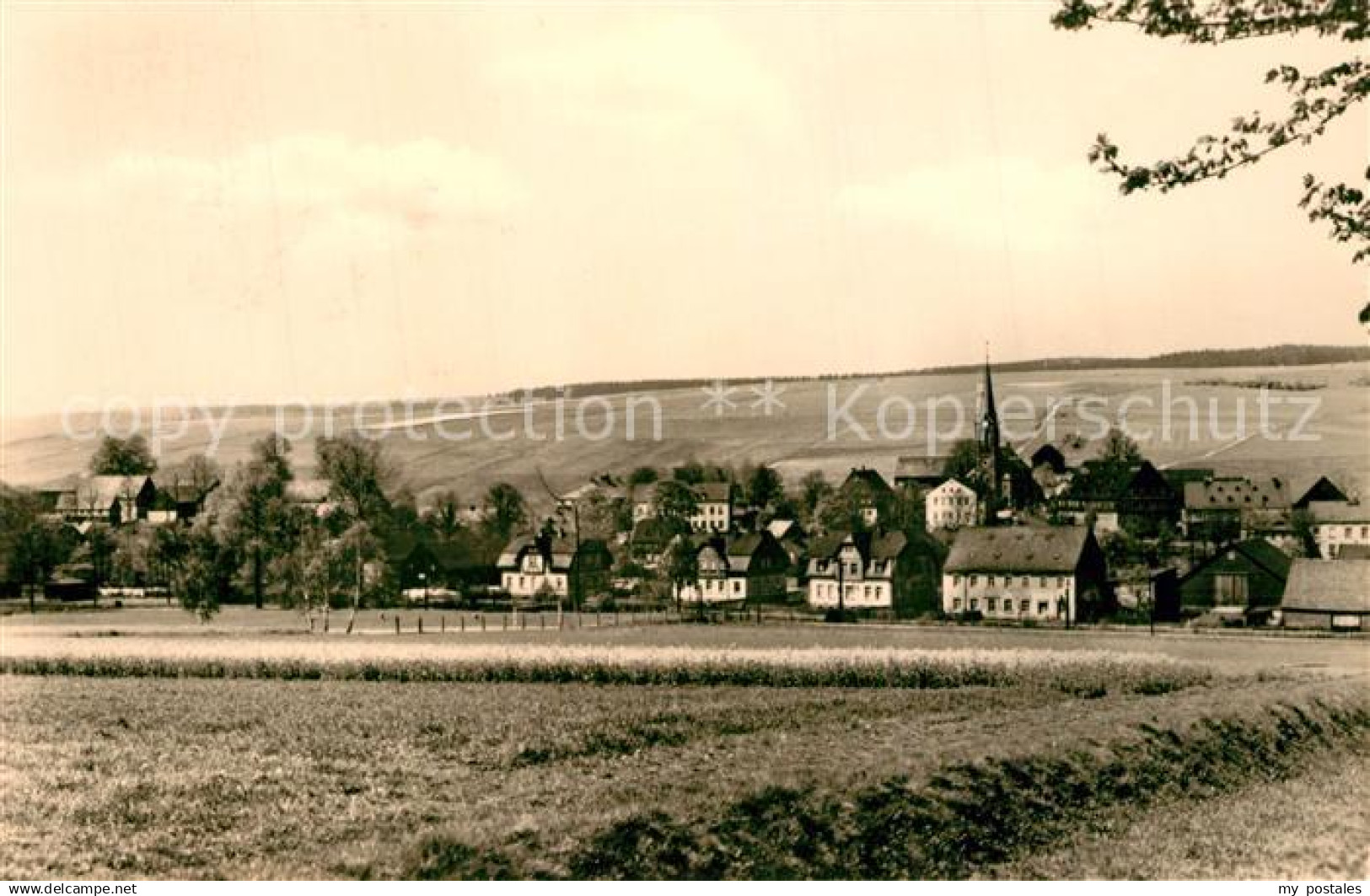 43346353 Dorfchemnitz Zwoenitz Panorama