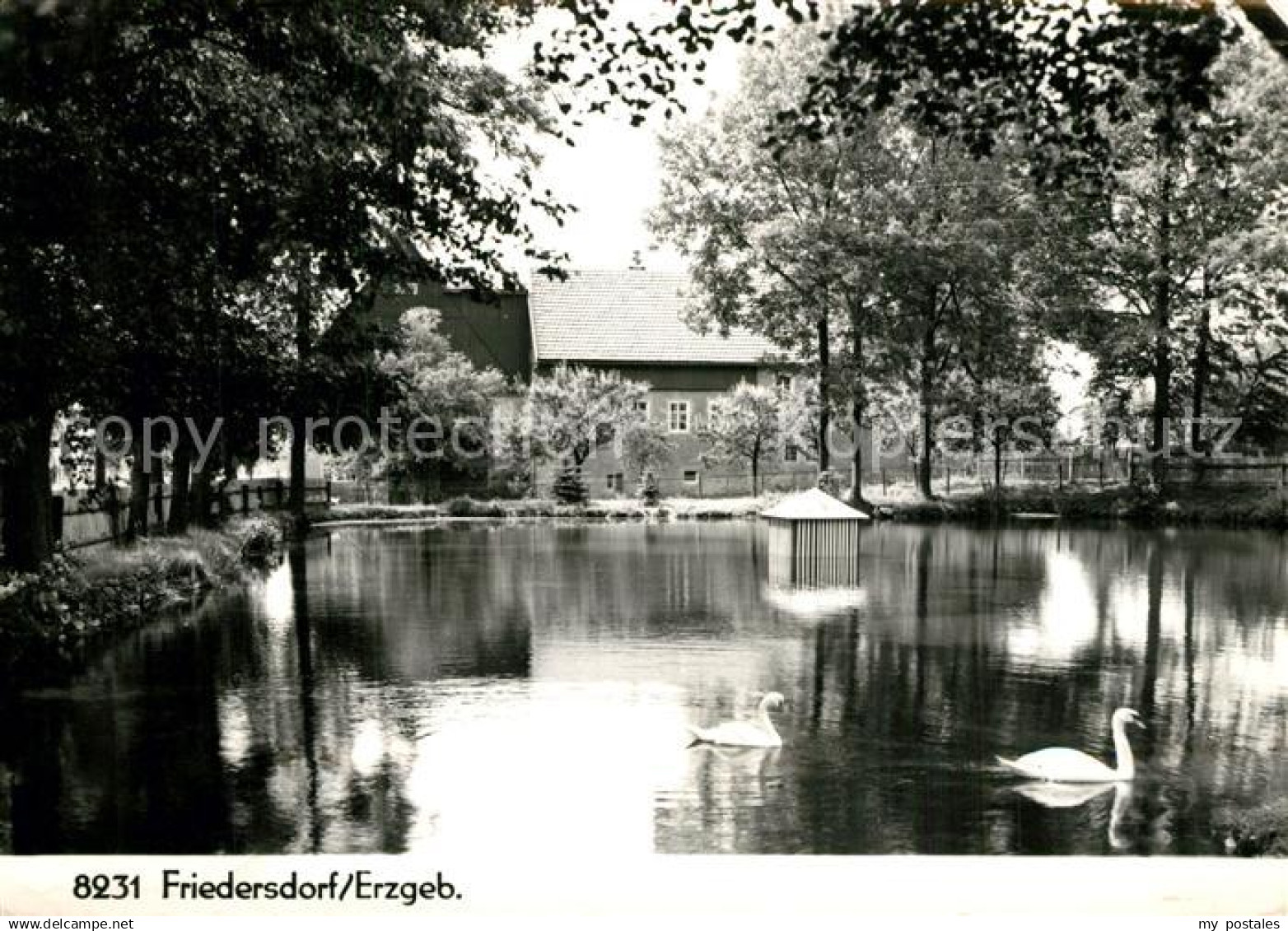 43349989 Friedersdorf Klingenberg Schwanenteich Handabzug