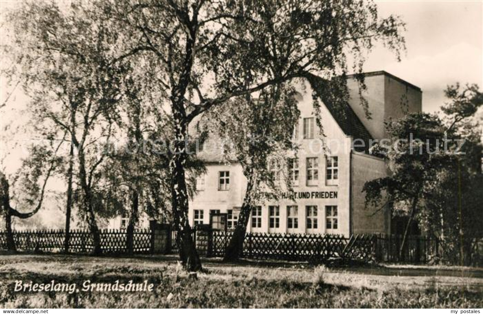 43354781 Brieselang Grundschule