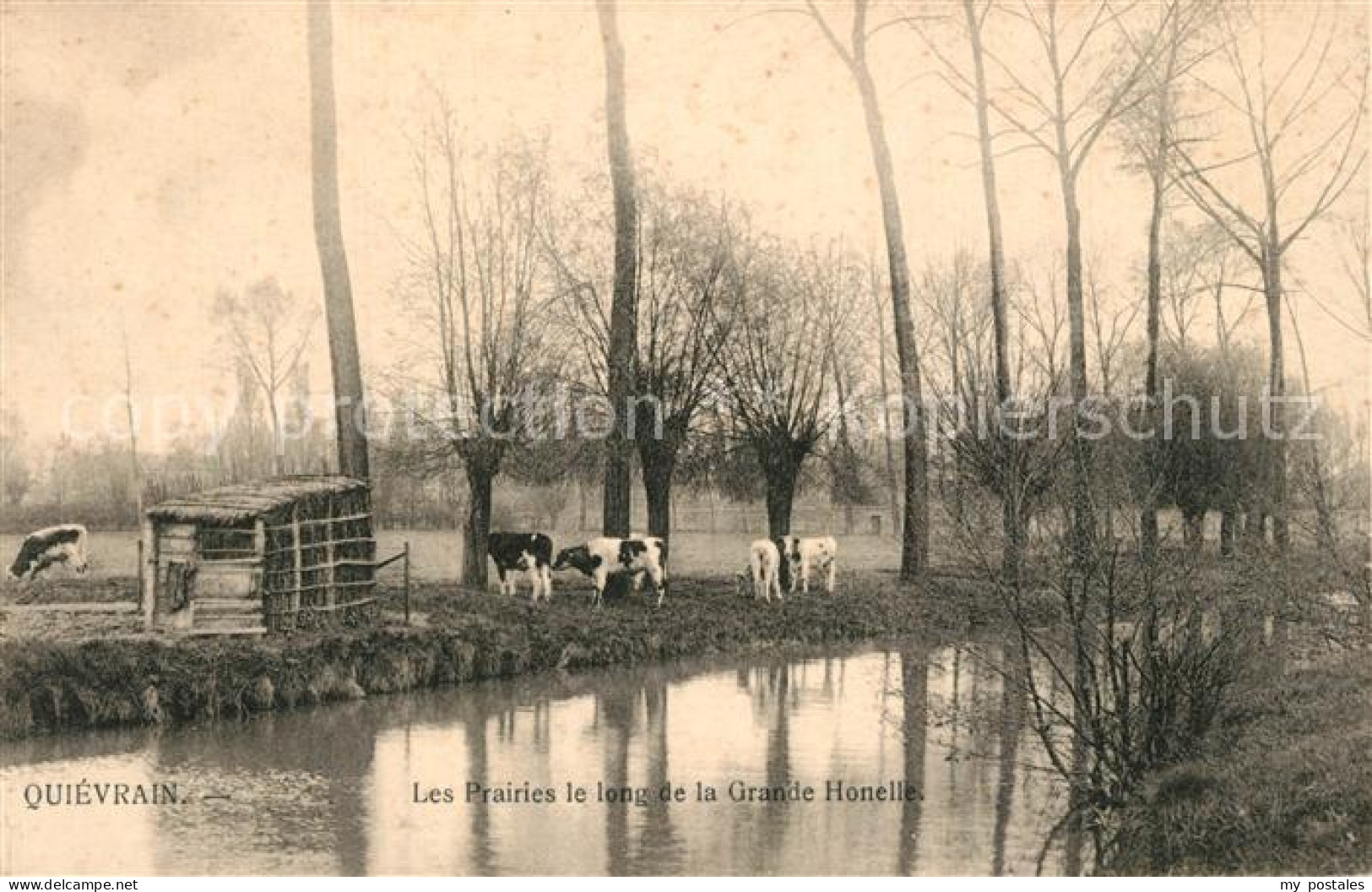 43488669 Quievrain Les Prairies le long de la Grande Honelle Quievrain