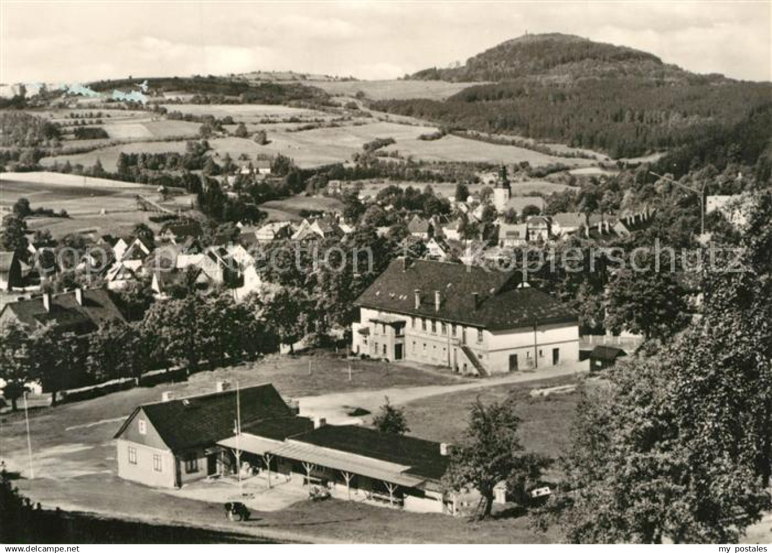 43496819 Geising Erzgebirge Panorama Blick zum Geising