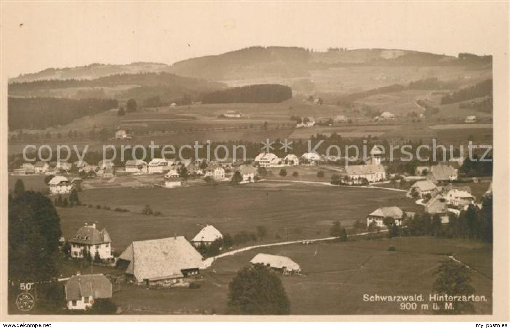 43505267 Hinterzarten Panorama Hinterzarten