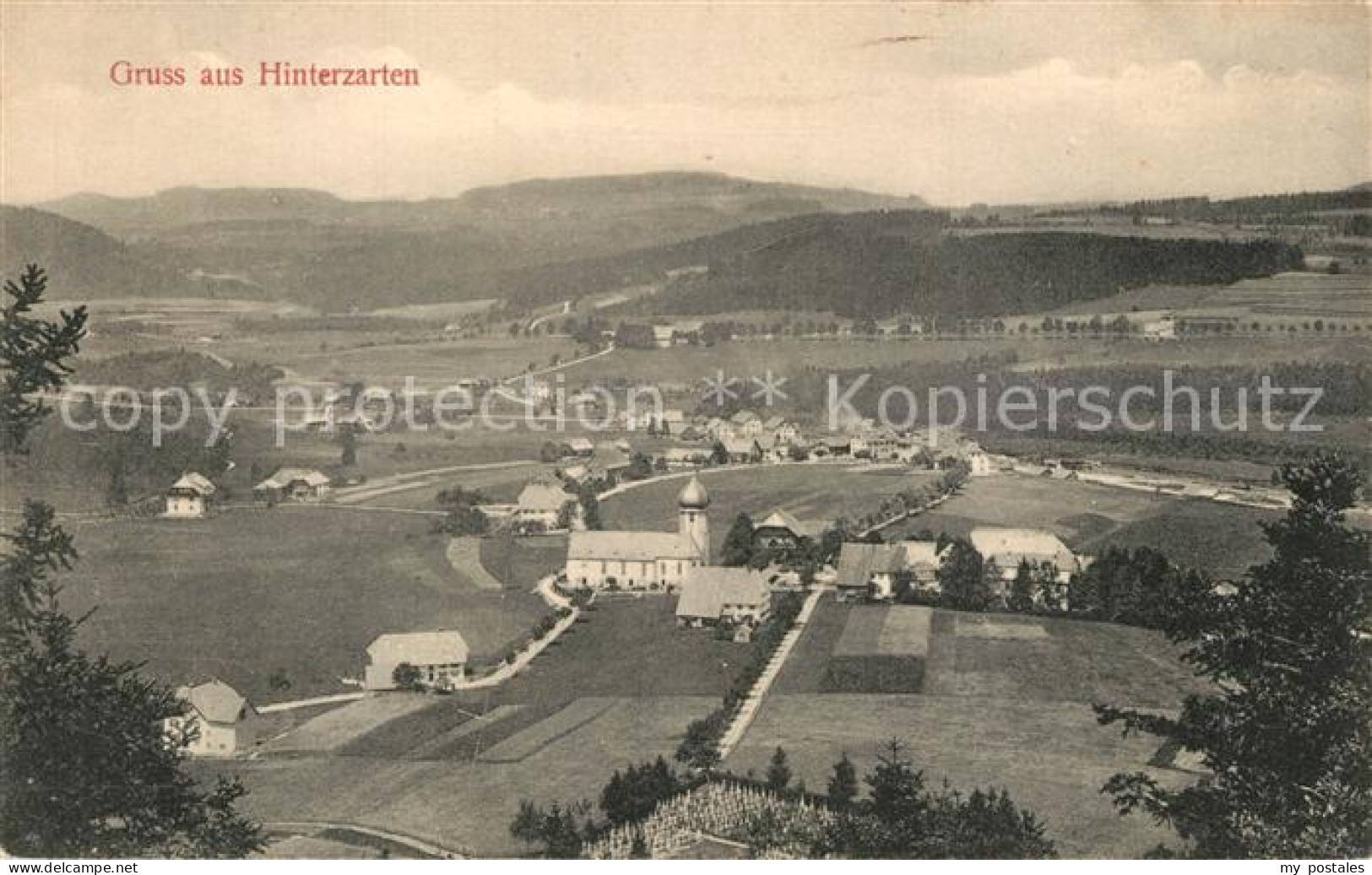 43505311 Hinterzarten Panorama Hinterzarten