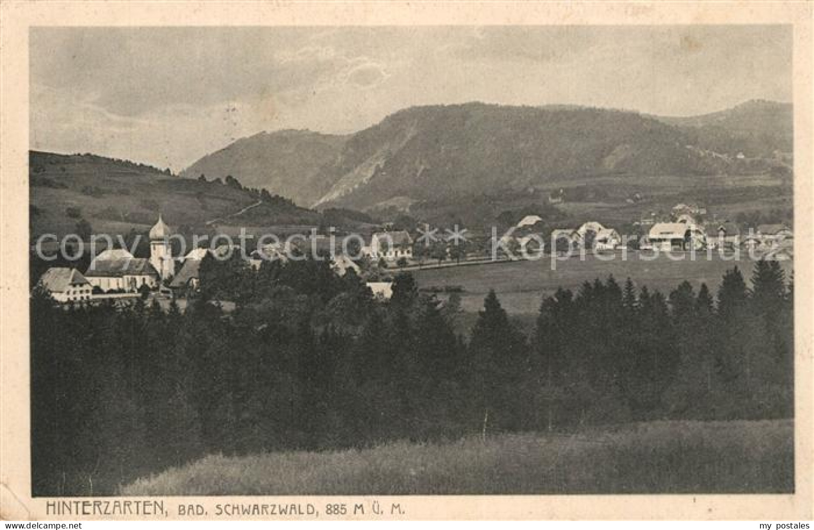 43505315 Hinterzarten Panorama Hinterzarten