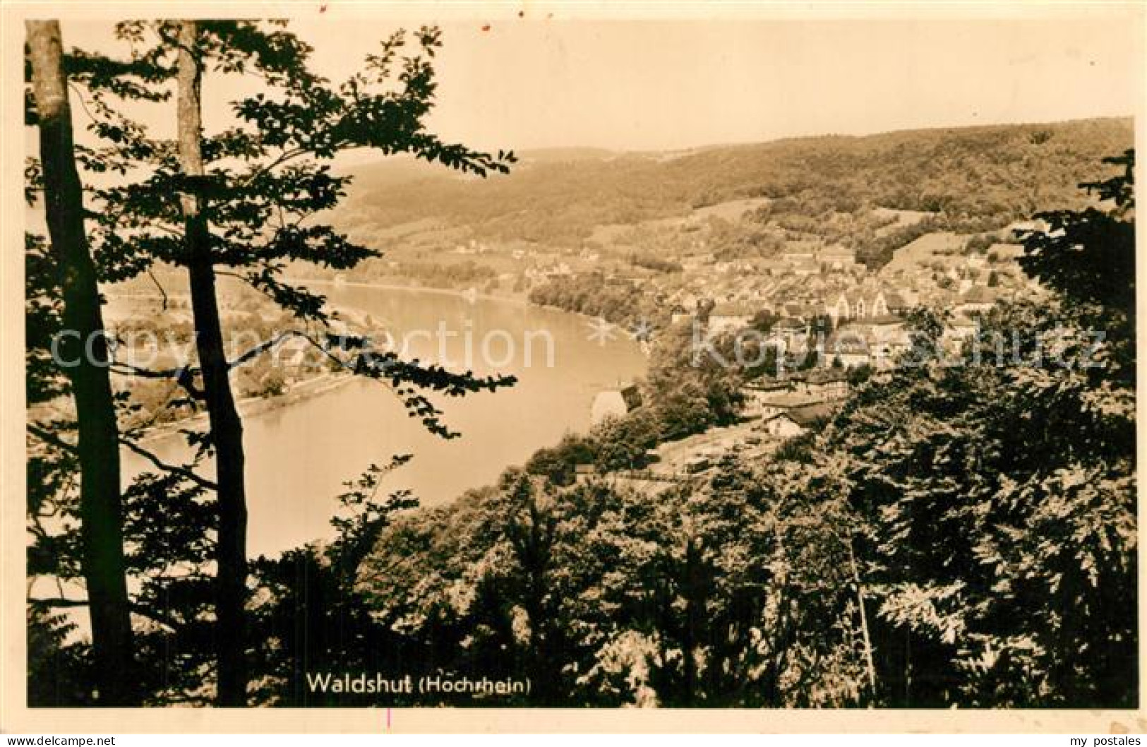 43507852 Waldshut-Tiengen Rheinpartie Waldshut-Tiengen