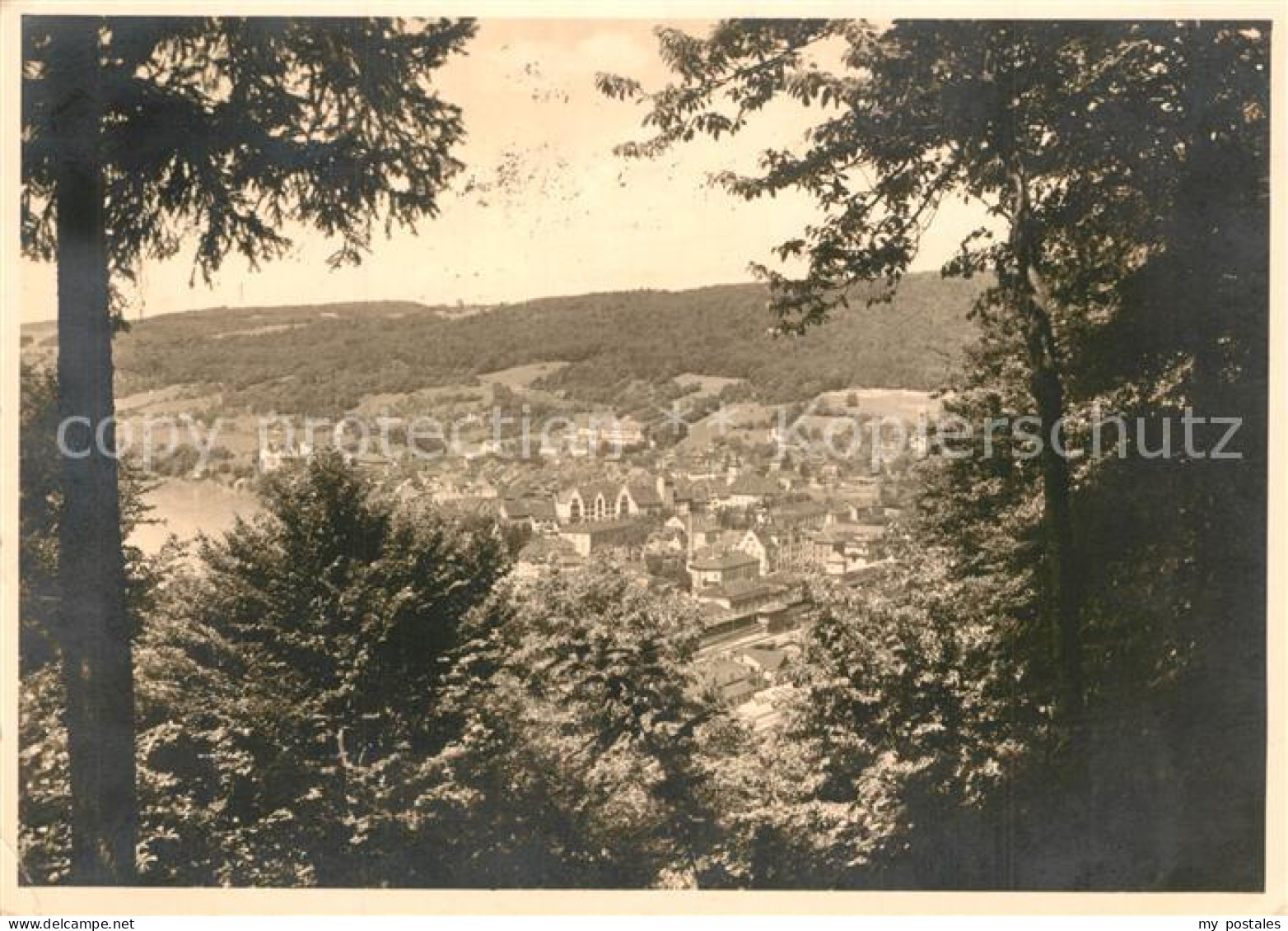 43519194 Waldshut-Tiengen Panorama Waldshut-Tiengen