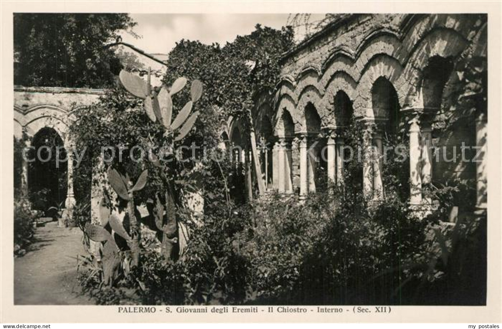 43530115 Palermo Sicilia S. Giovanni degli Eremiti Chiostro Palermo Sicilia