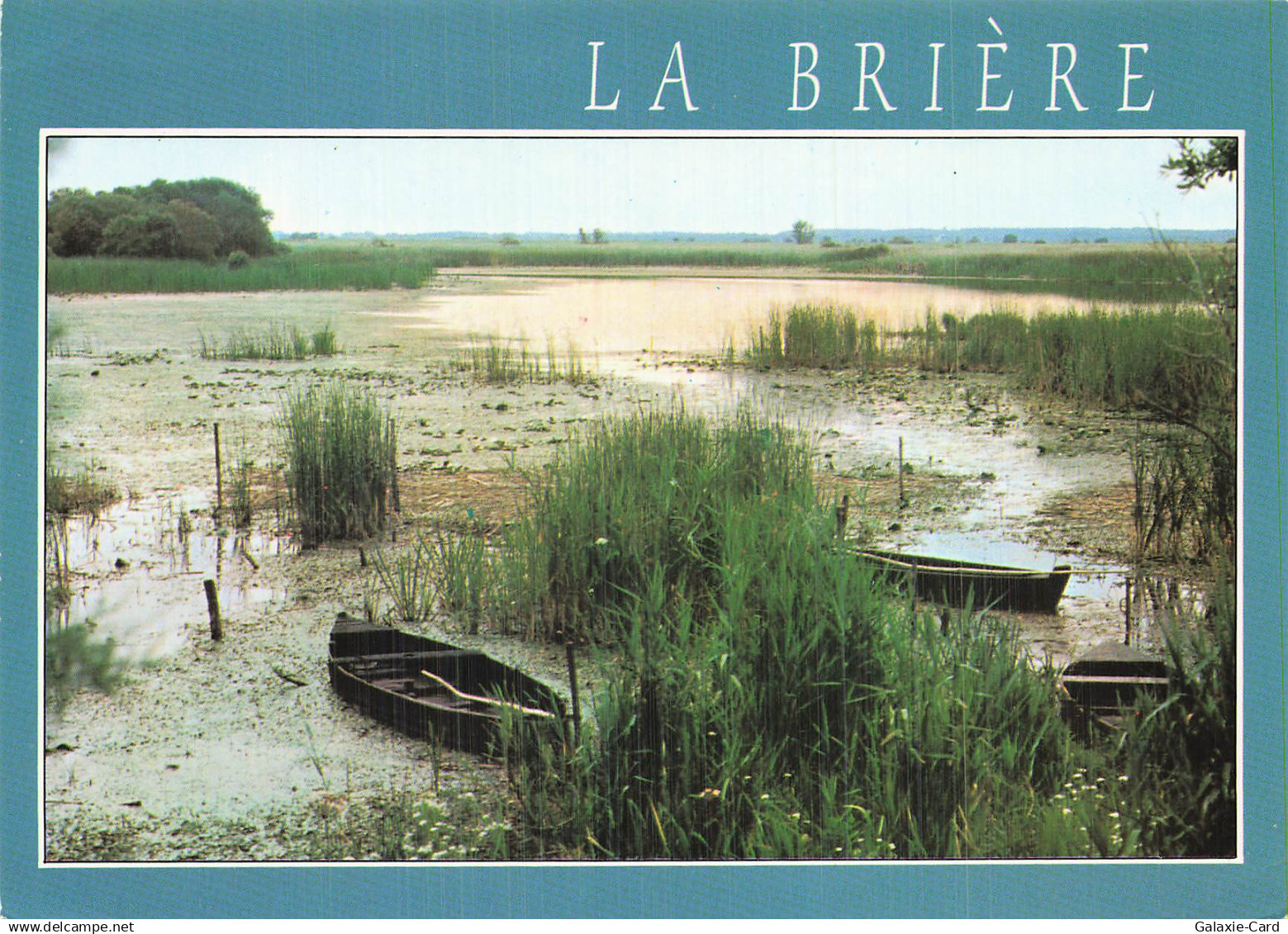 44 LA BAULE ESCOUBLAC LA BRIERE