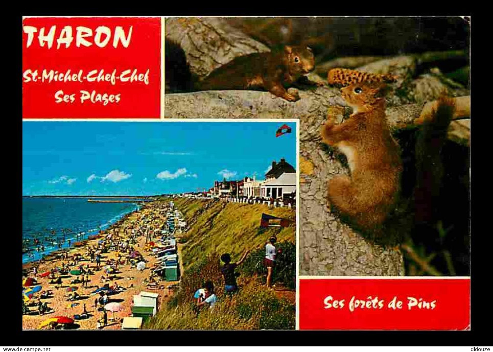 44 - Tharon Plage Saint Michel Chef Chef - Multivues - Plage - Ecureuil - CPM - Voir Scans Recto-Verso