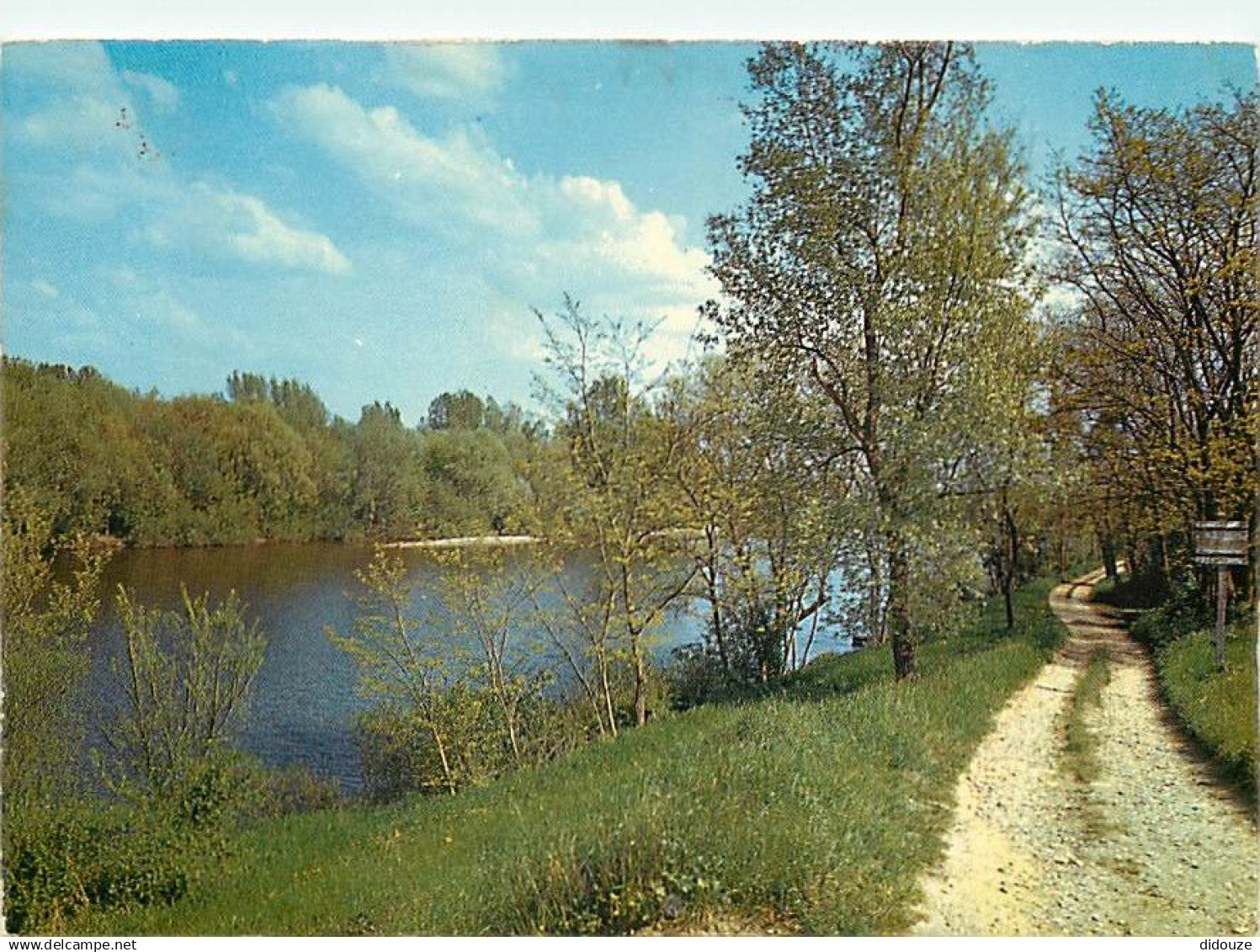 45 - Chatillon sur Loire - Les bords de la Loire - CPM - Voir Scans Recto-Verso