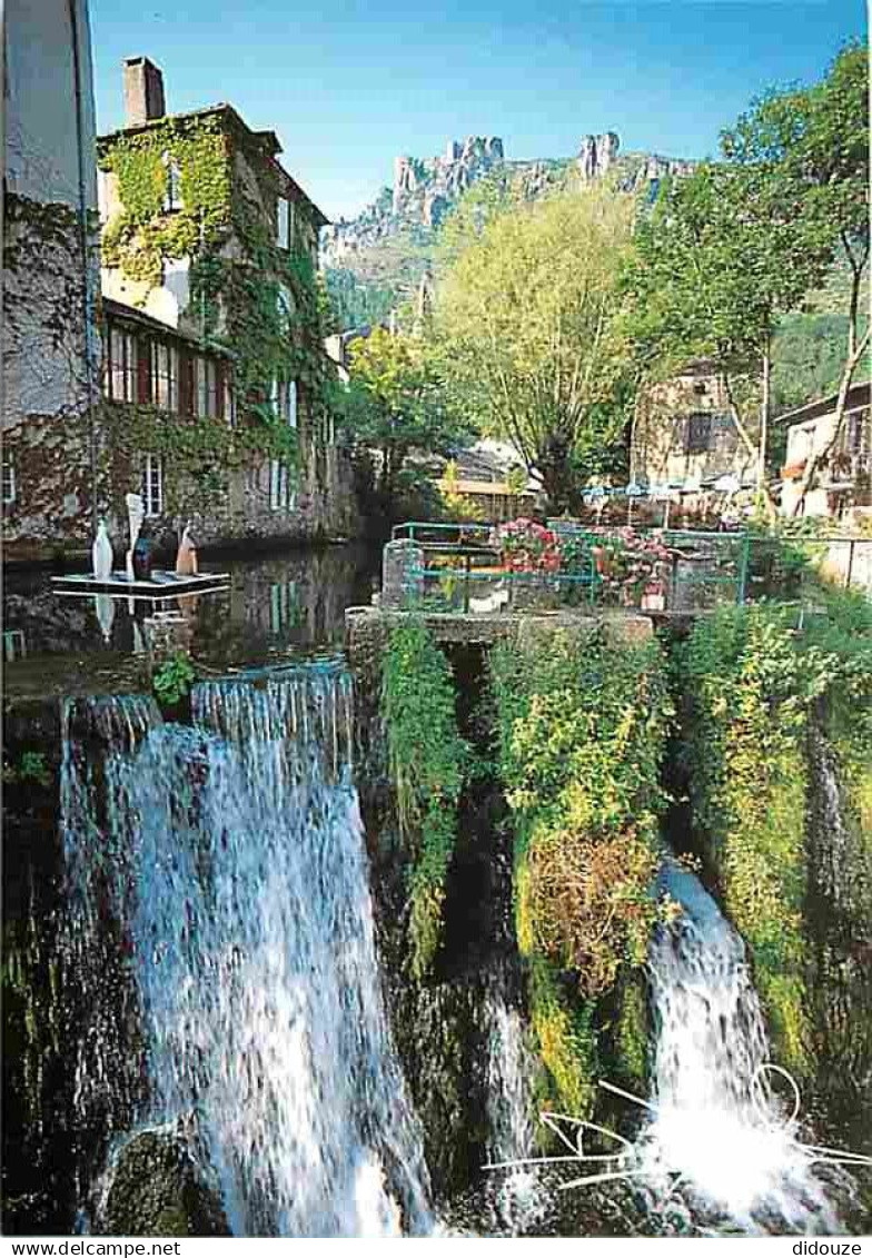 48 - Florac - La source du Pêcher - CPM - Voir Scans Recto-Verso