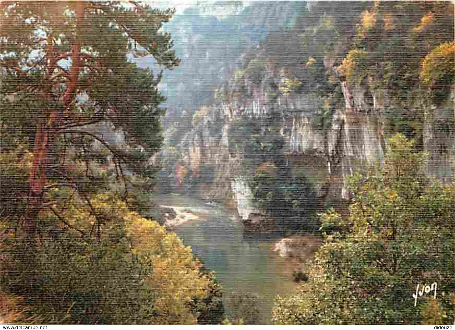 48 - Les Gorges du Tarn - Dans les Gorges - CPM - Voir Scans Recto-Verso