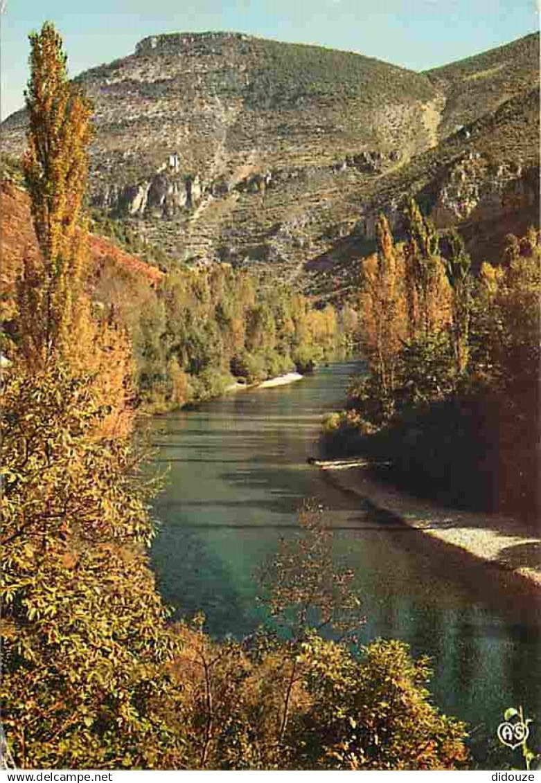 48 - Les Gorges du Tarn - Paysage d'Automne dans les Gorges. Le Tarn dominé par les ruines du Château de Castelos - Flam